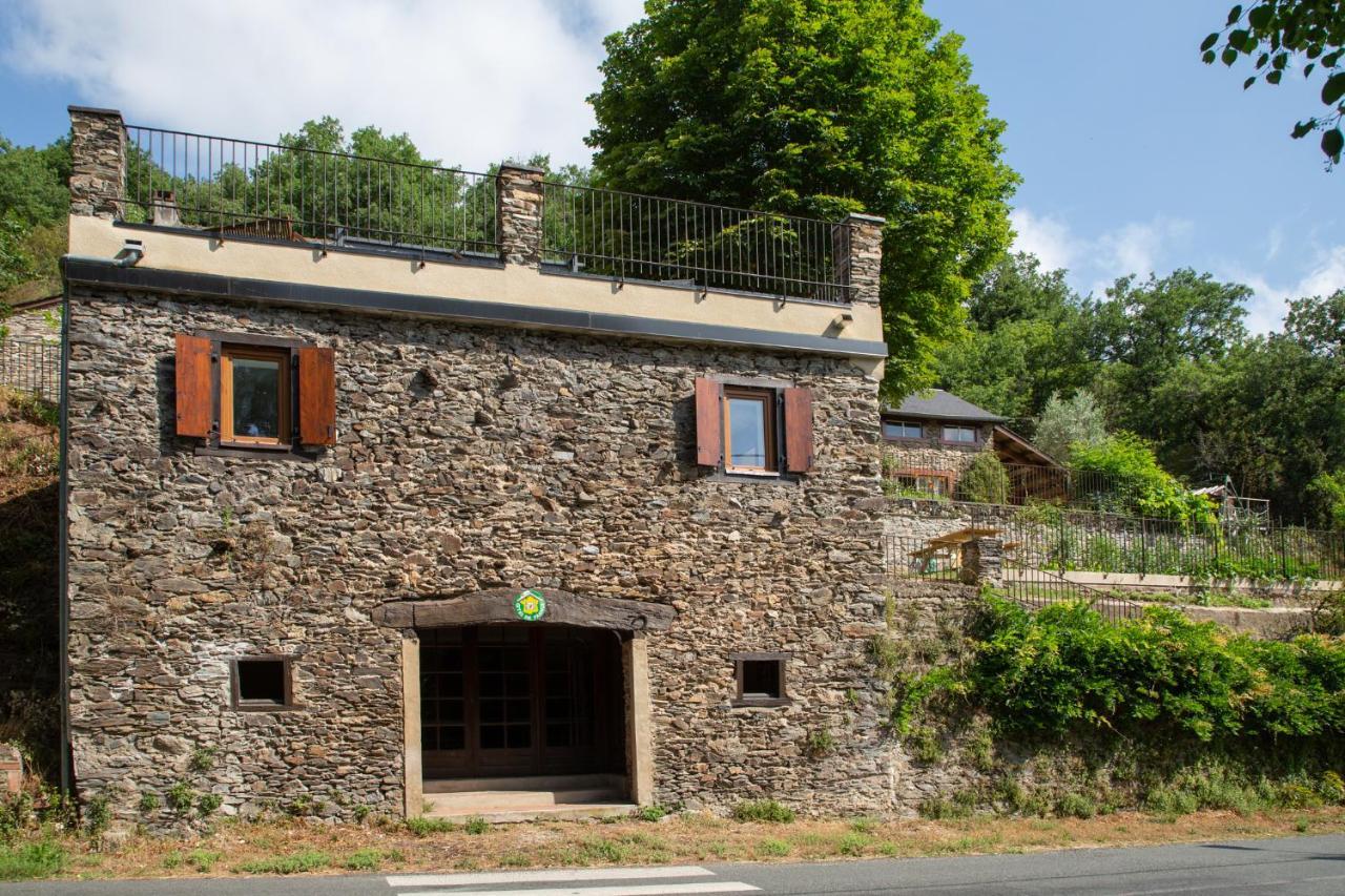 Appartement - Gite De La Moulinquie Saint-Cirgue Exterior foto